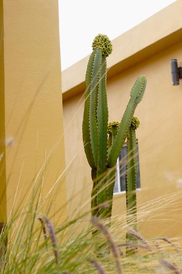 Cozy & Quiet Pet Friendly Studio Ensenada Exterior photo