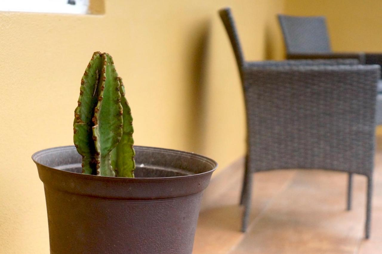 Cozy & Quiet Pet Friendly Studio Ensenada Exterior photo